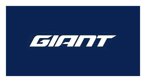 Giant e-bike garancia. KORLÁTOZOTT JAVÍTÁS